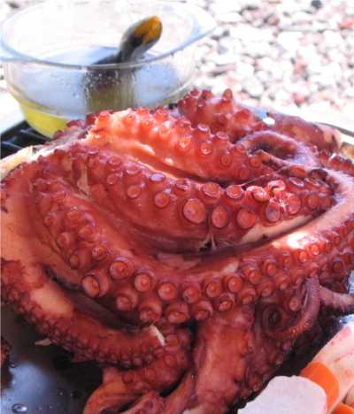 Vacation in Santorin... delicious Octopus...  click for more...